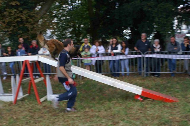 foire-haricots 2011-09-17et18